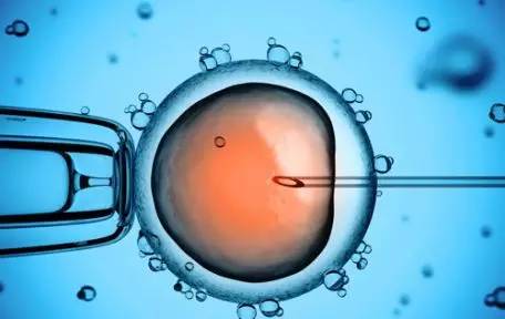 培养箱